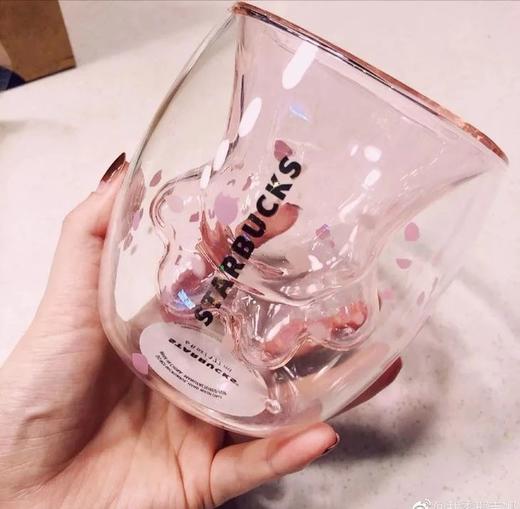 预售星巴克杯子2019樱花6oz粉色猫爪杯萌猫双层玻璃马克杯69包邮