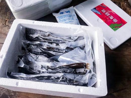 【产地直发】盐渍包饭海带，2024年最最新鲜的一批，天然洁净海域！含有丰富的矿物质、维生素、纤维素、钙、钾、碘等营养物质。满88包邮 商品图3