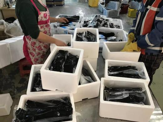 【产地直发】盐渍包饭海带，2024年最最新鲜的一批，天然洁净海域！含有丰富的矿物质、维生素、纤维素、钙、钾、碘等营养物质。满88包邮 商品图8