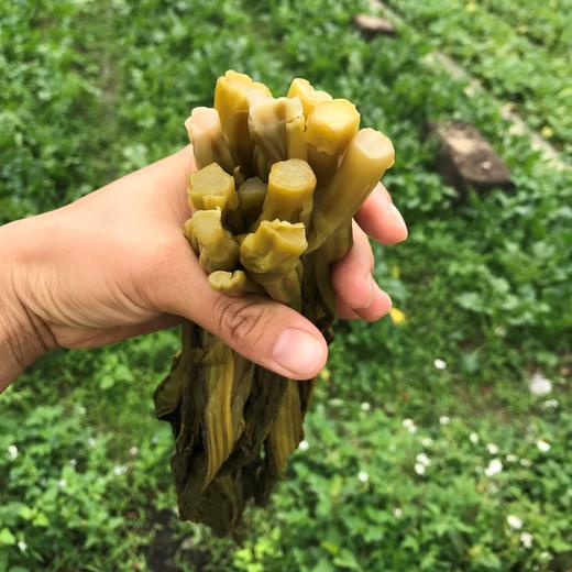 生态酸菜（临期） | 绿家自产*Eco-pickles | Self-production 商品图2