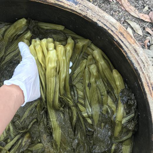 生态酸菜（临期） | 绿家自产*Eco-pickles | Self-production 商品图1