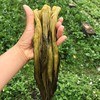 生态酸菜（临期） | 绿家自产*Eco-pickles | Self-production 商品缩略图3
