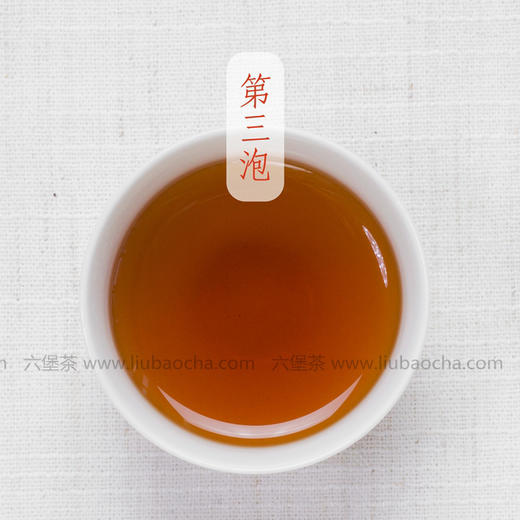 金益六堡茶 2009年 陈香系列 9年陈09203 (2018年包装出厂，500g) 商品图2