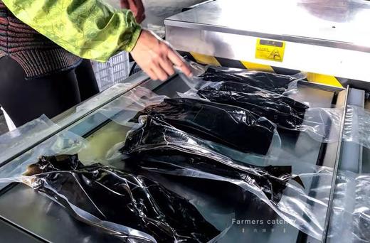 【产地直发】盐渍包饭海带，2024年最最新鲜的一批，天然洁净海域！含有丰富的矿物质、维生素、纤维素、钙、钾、碘等营养物质。满88包邮 商品图2