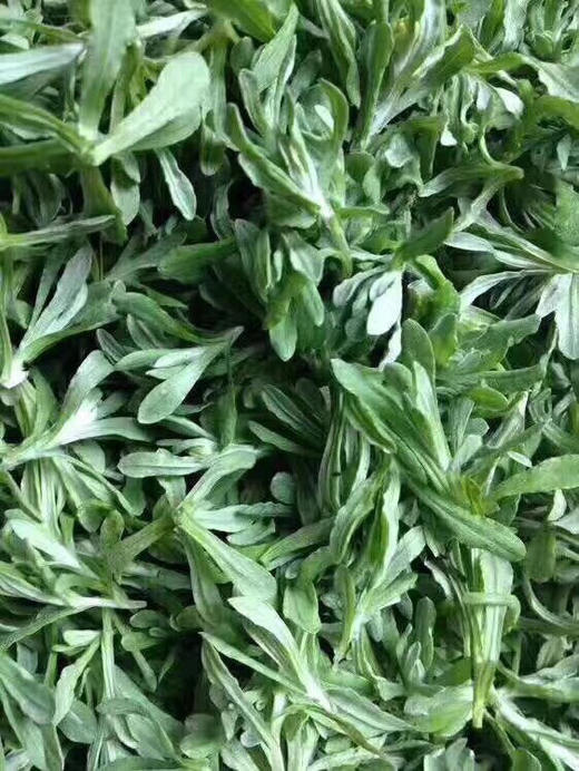 预售平阳五十丈的清明粿 清明果开团啦！ 商品图8