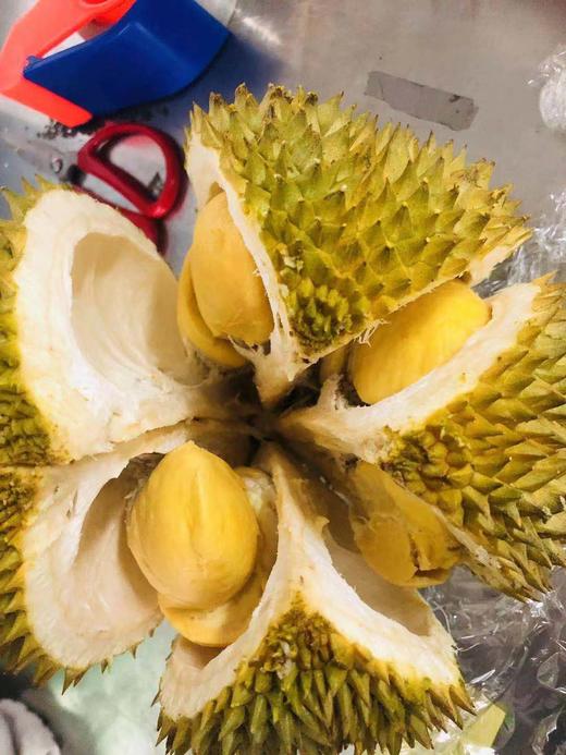 榴莲预定 补差价商品专用链接 商品图0