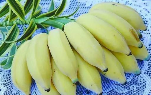 漳州芭蕉肉细致油滑味甜
