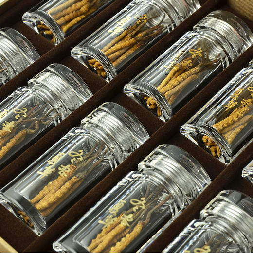 劲牌冬虫夏草(3500条/kg)20g 2g/瓶*10瓶/盒