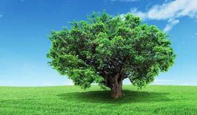 2019我为汽车种棵树 永康站（3月10日）