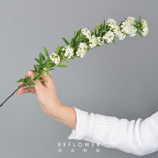 luckyball小手球5枝60cm白色