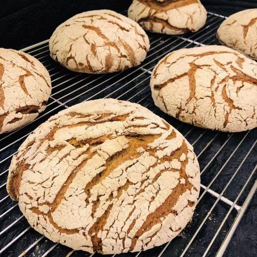 硬质德式100黑麦面包