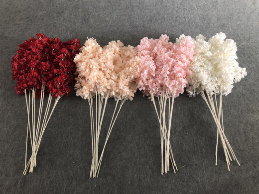 特价飘雪【运费自理】 商品图2