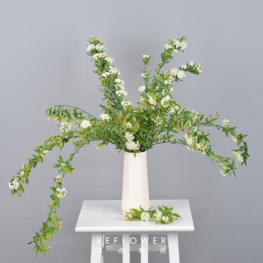 luckyball小手球5枝60cm白色