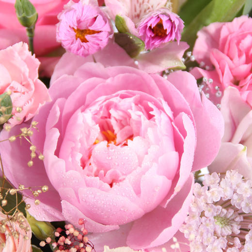 全球祝福抱抱桶系列——粉色Pink 商品图2