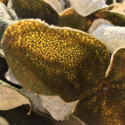 1年新陈皮250克（适合收藏陈化）| 广东新会 林叔 商品图3