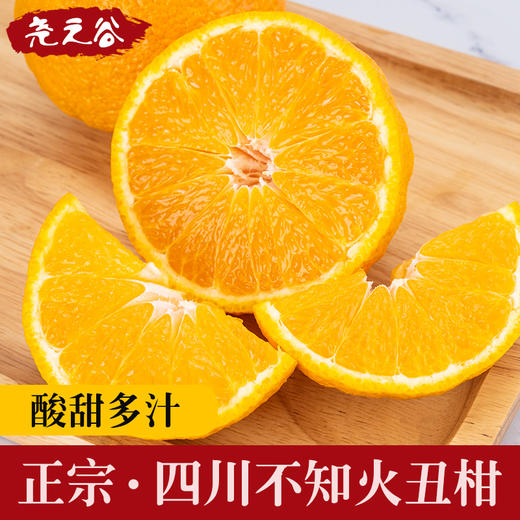 尧之谷不知火丑橘 精品9斤装 商品图3