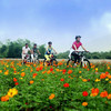 【单身专题】4.12相约网红自行车公园，骑行最美茶海小径（1天活动） 商品缩略图2