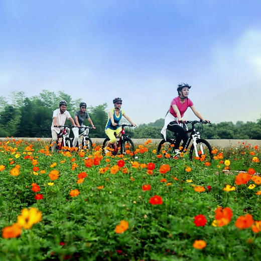 骑行醉美茶海小径，相约网红自行车公园（上海1天活动） 商品图1