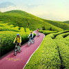 相约网红自行车公园，骑行最美茶海小径（杭州出发1天活动） 商品缩略图0