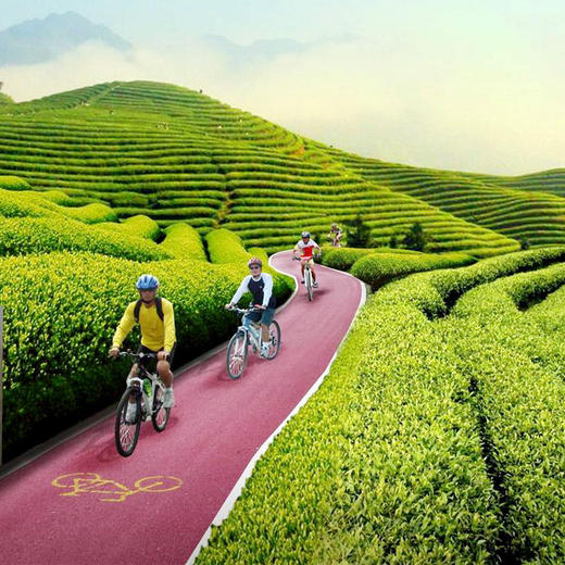 相约网红自行车公园，骑行最美茶海小径（杭州出发1天活动） 商品图0