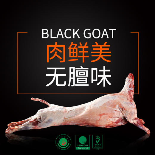 【黑精刚】茂名钜园农业山地放养黑山羊豪华礼盒装 商品图1
