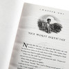 【中商原版】哈利波特2 哈利波特与密室 美国经典版平装 英文原版 Harry Potter and Chamber of Secrets 哈利波特英语原版 JK罗琳 商品缩略图3