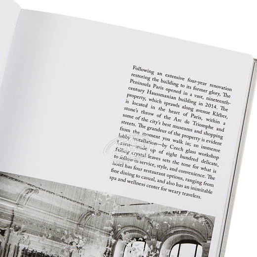 【中商原版】《谷物》杂志城市旅游指南：巴黎 英文原版 Cereal City Guide: Paris Rosa Park Abrams Books 商品图3