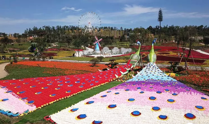 五龙山百花谷门票多少图片