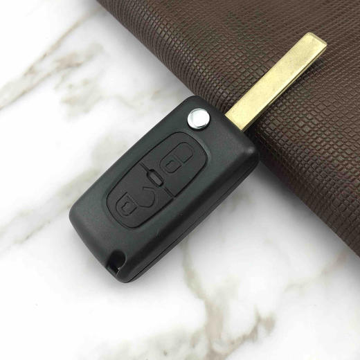 〖7135〗BZ01标志遥控壳 商品图1