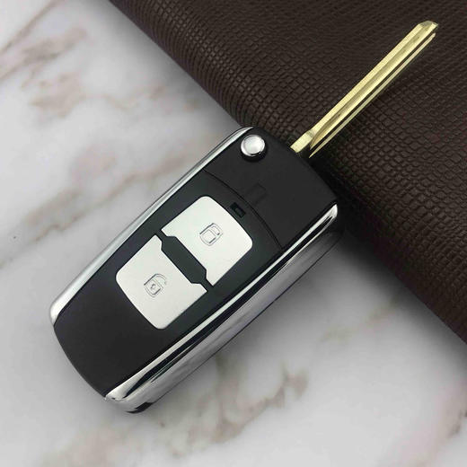 〖7138〗XD01现代遥控壳 商品图0