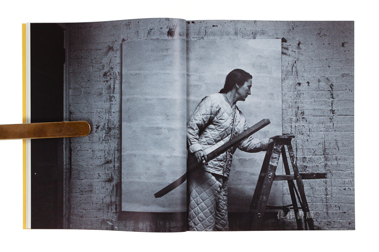 agnesmartin艾格尼丝马丁tate平装本