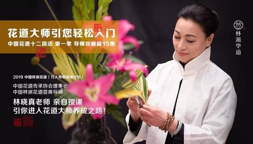 中国花道十二段法第一季15集课程 商品图0