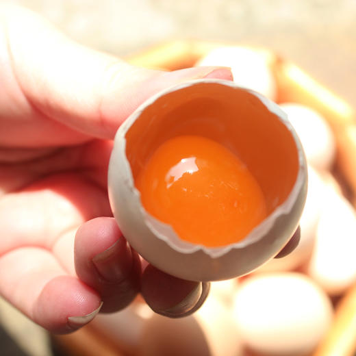 土鸡蛋（论个） 商品图1