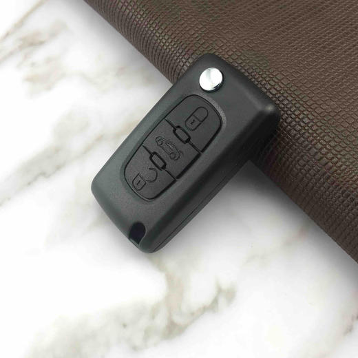 〖H056〗BZ02原装3键标志307 商品图4