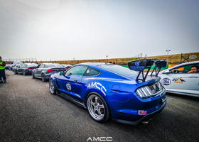 AMCC轮拱及前档、后档车贴拉花（一对）