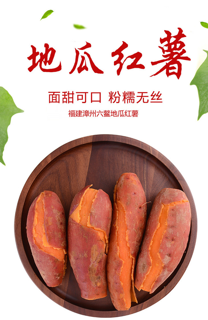 福建漳州六鳌红薯