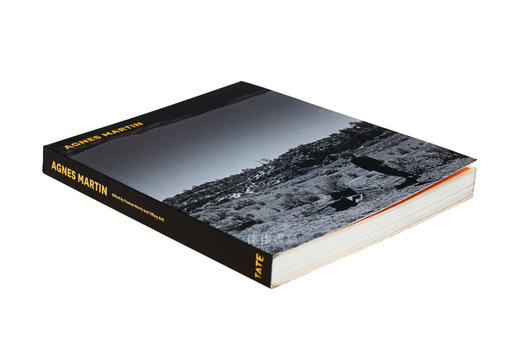 agnesmartin艾格尼丝马丁tate平装本