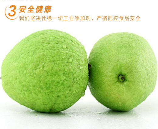 红心/白心双拼/芭乐3斤礼盒 商品图11