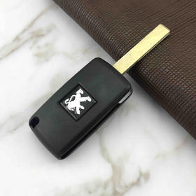 〖7135〗BZ01标志遥控壳