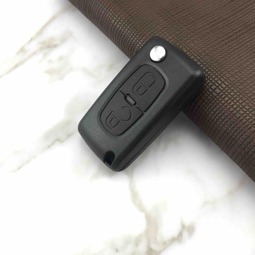 〖7135〗BZ01标志遥控壳 商品图2