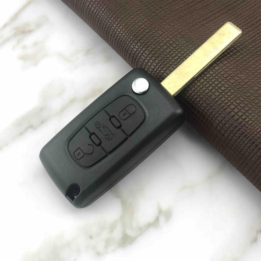 〖H056〗BZ02原装3键标志307 商品图2