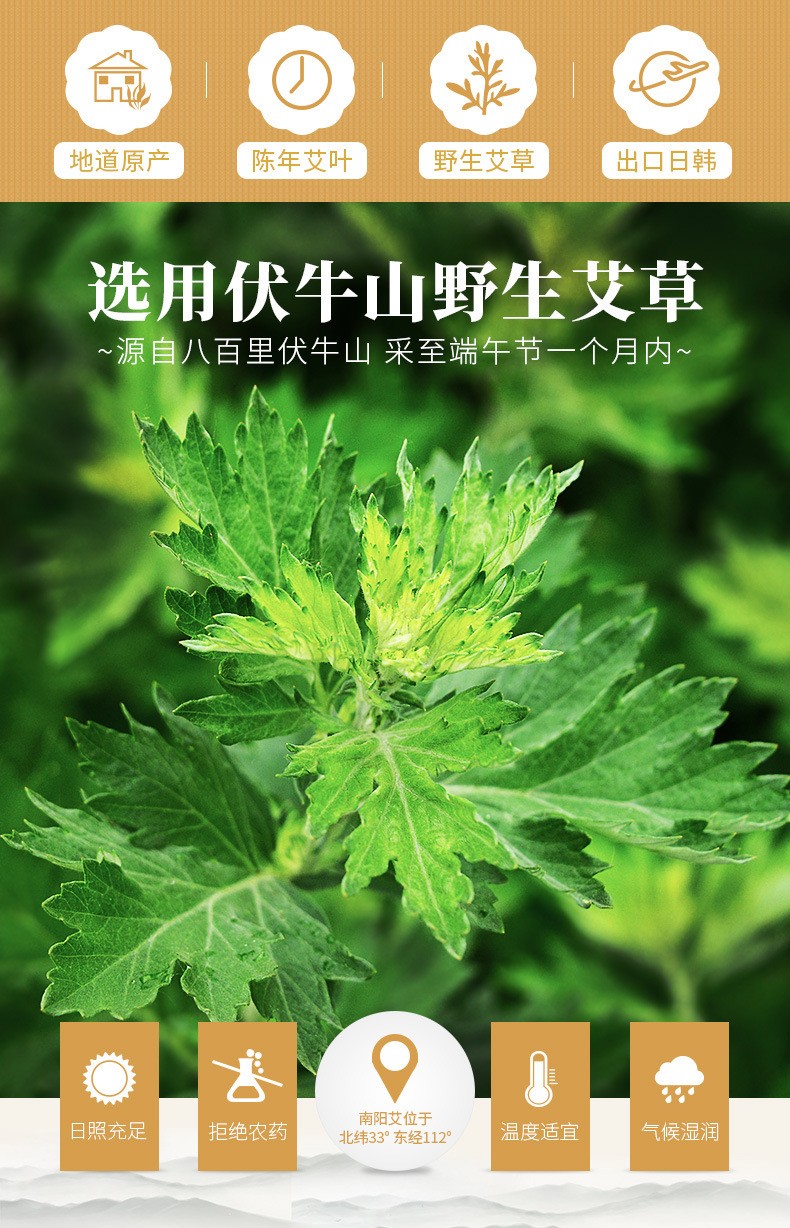 (仙草)野生陈艾叶500g