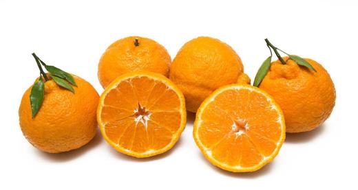 【云燕优品】不知火丑橘丑柑 商品图2