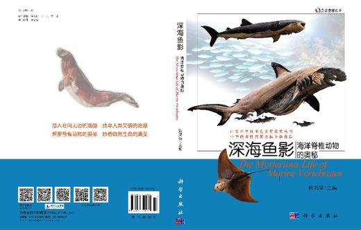深海鱼影——海洋脊椎动物的奥秘 商品图3