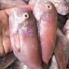 【野生妹仔红莺歌鱼】好吃到连鳞都不放过的纯野生的海鱼，每盒约10―15条！ 商品缩略图0