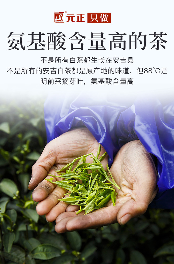 元正好茶绿茶系列88安吉白茶x9绿茶108克