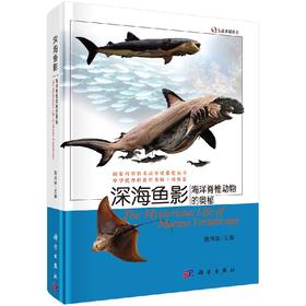 深海鱼影——海洋脊椎动物的奥秘