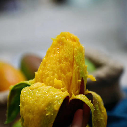 三亚树上熟贵妃芒 商品图2