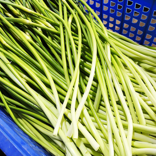 蒜苔  300g 商品图1