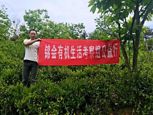 头采龙井 200克礼盒 锦会专享 2026年新茶 商品图3